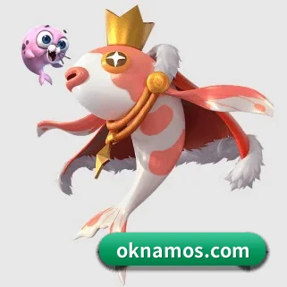 OD网页版 APP